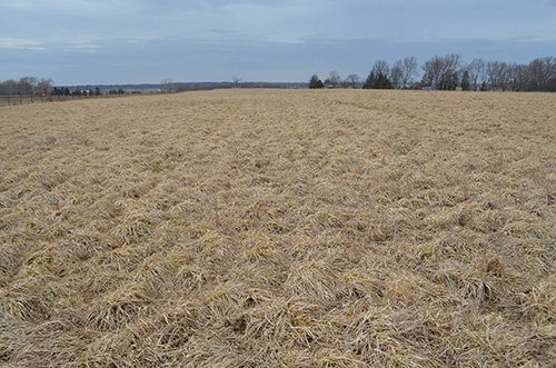 Property photo 24 - REAL ESTATE & FARM EQUIPMENT AUCTION IN ALLEN COUNTY, INDIANA